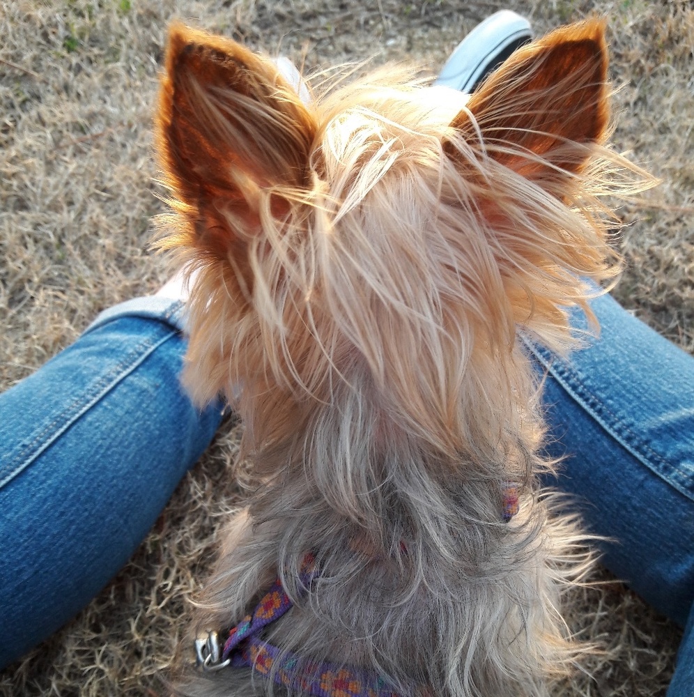 Meet your Posher, Shayna